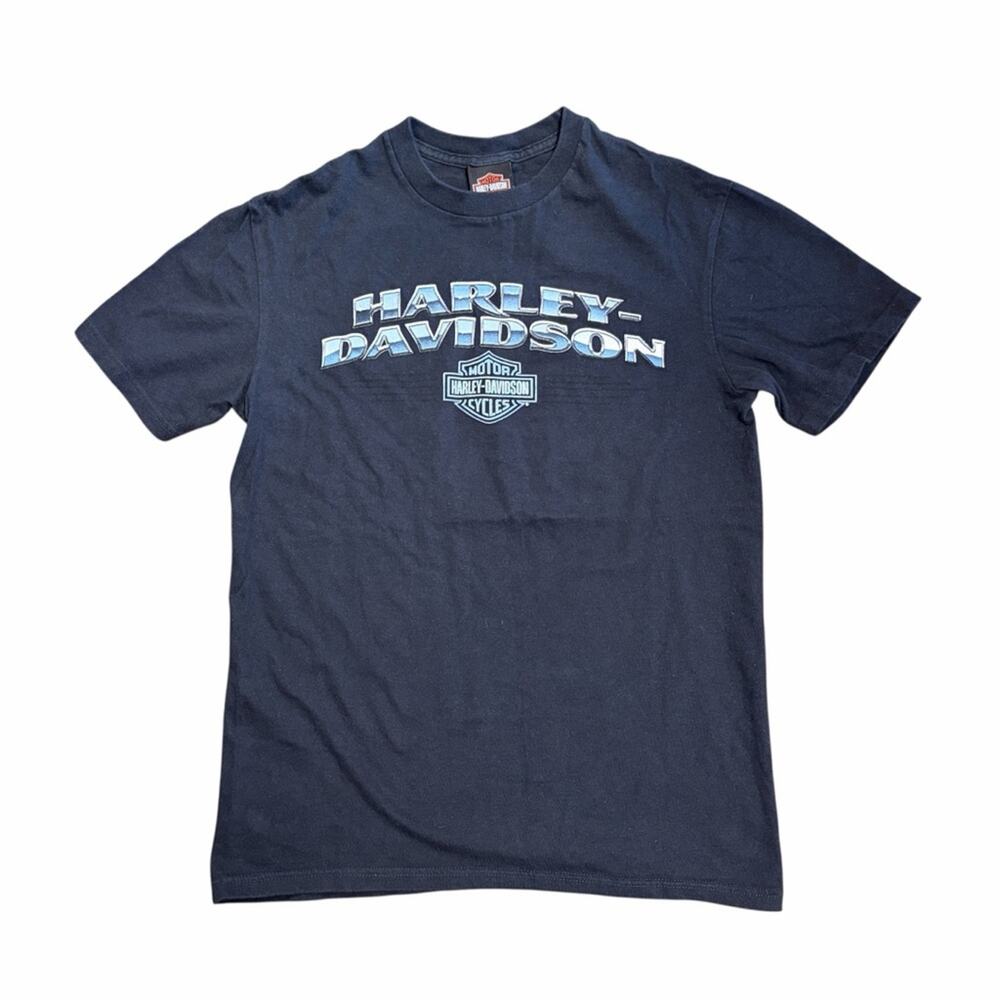 Harley-Davidson Men's Navy T-Shirt - M